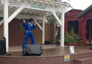 Elvis impersonator 